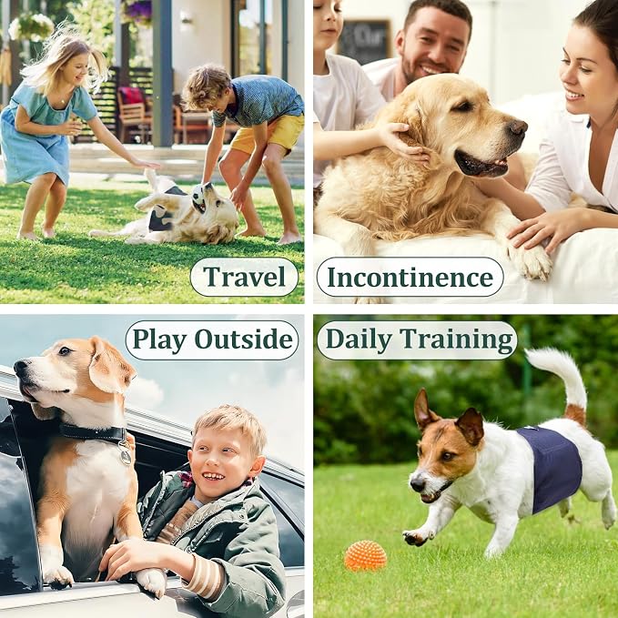 Reusable Dog Diapers Male, Premium Washable Belly Bands for Dogs, Pack of 5, High Absorbing Extra Small Dog Wraps for Doggie & Puppy in Incontinence or Excitable Urination and Training(XS)
