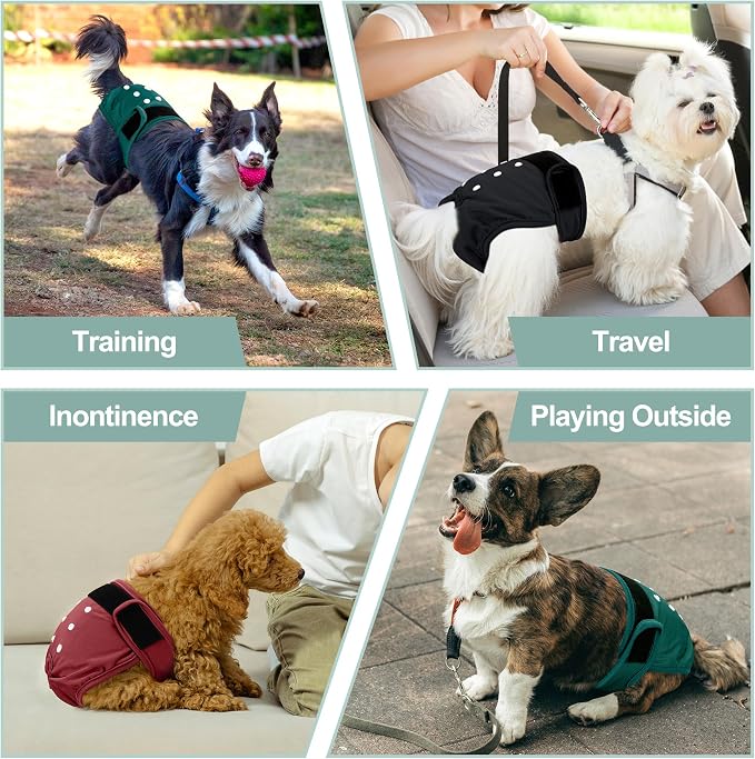 3 Pack Female Dog Diapers - Reusable Diapers for Doggie in Heat - Highly Absorbent Dog Diapers Female for Pet Incontinence with Adjustable Snaps (Red,Grreen,Black, XL)