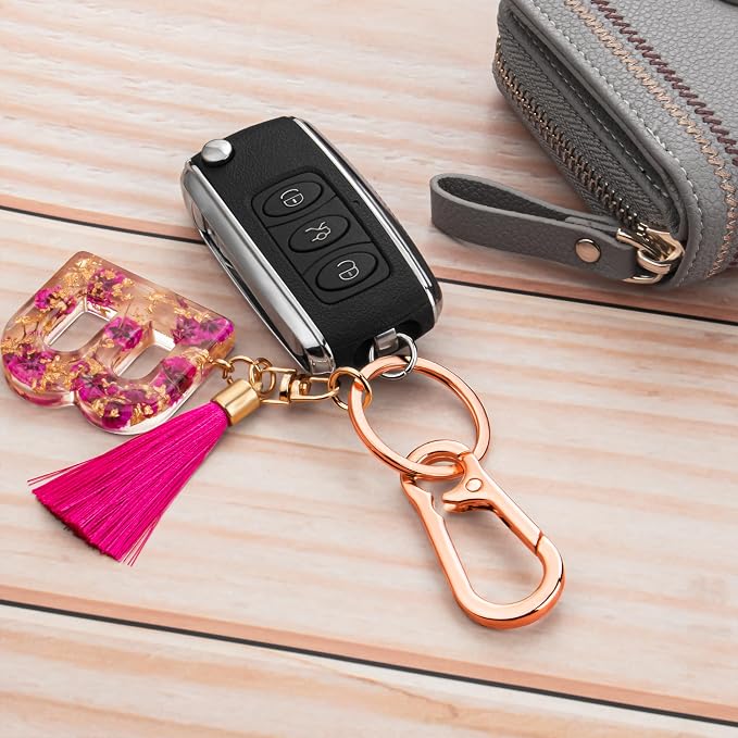Wikavanli Metal Keychains Keyring Key Chain Ring Clip Holder Organizer for Home Car Keys Key Finder Women Men