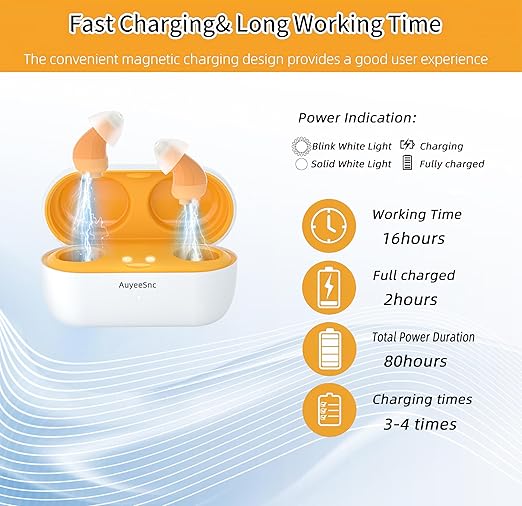 OTC Hearing Aids for Adults, Rechargeable Hearing aids Mini Digital Hearing Aid with US Chip Noise Reduction Memory Function Affordable Backup Solution
