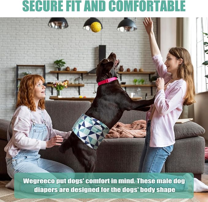 wegreeco Washable Dog Diaper Male (Pack of 3) - Washable Male Dog Belly Wrap (Geometrical Blue Green Coffee, Small)