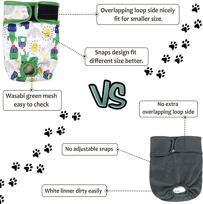 Washable Female Dog Diapers - Premium Reusable Diapers for Doggie in Heat - Highly Absorbent Dog Diapers Female for Pet Incontinence with Adjustable Snaps (Cactus, XXL)