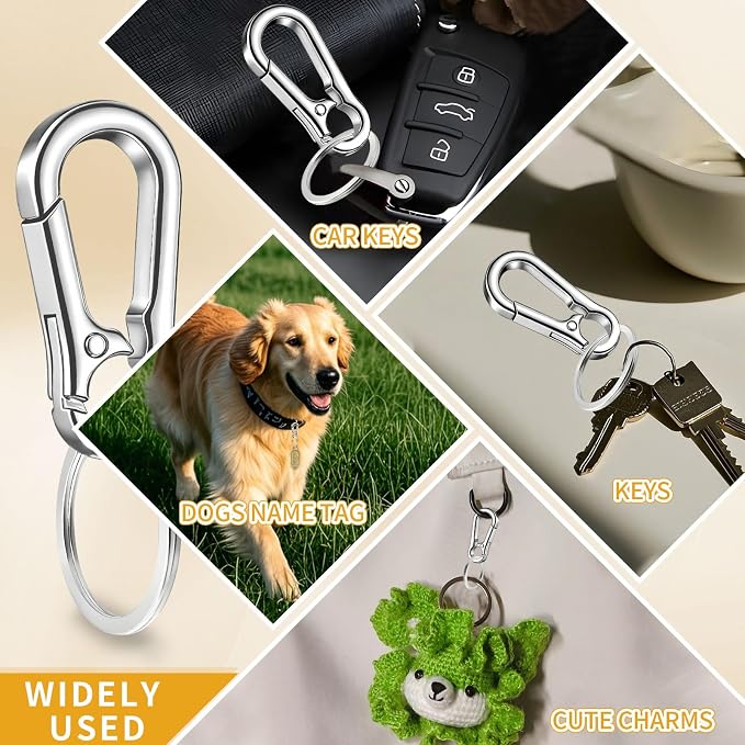 4 Pack Keychain, Metal Key Chain, Sturdy Key Ring, Key Rings Key Organizer Keychain Clip Key Chains for Men Women