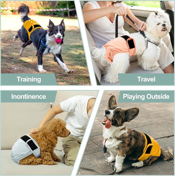 Female Dog Diapers - Premium Reusable Diapers for Doggie in Heat - Highly Absorbent Dog Diapers Female for Pet Incontinence with Adjustable Snaps Yellow, XXL
