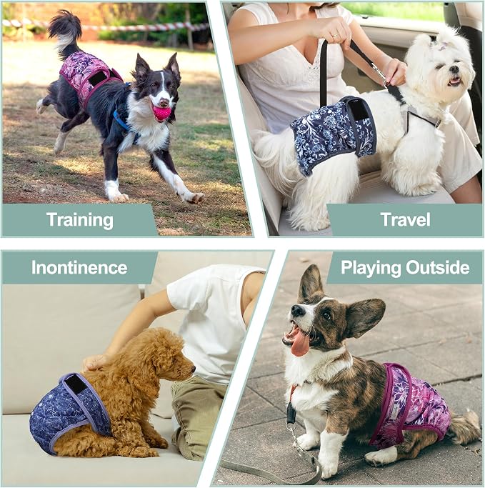 Female Dog Diapers - Premium Reusable Diapers for Doggie in Heat - Highly Absorbent for Pet Incontinence with Adjustable Snaps Butterfly, L