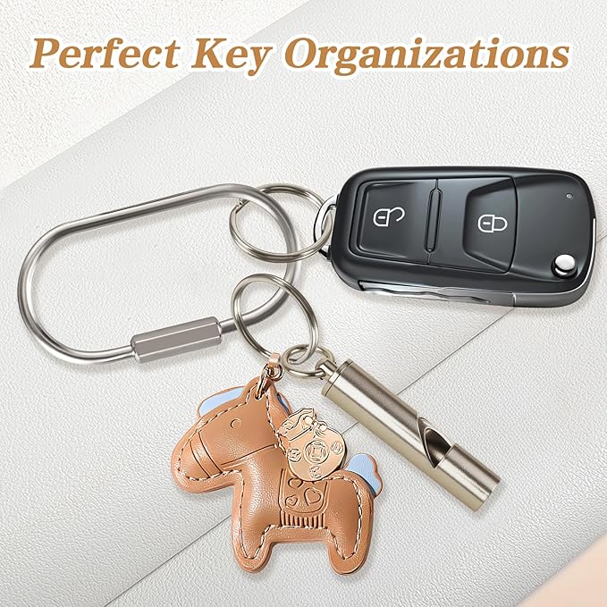Muitcdo Brass Key Rings Bulk, Key Chain Organizer Holder for Men Women with Secure Screw Locking