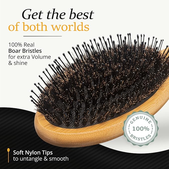 Belula Men's Hair Grooming Set, Boar Bristle and Nylon Pin Brush, Comb, Bag | Boar bristle brush, nylon pin brush, wooden comb, 2 palm brushes, travel bag, 5 piece set, massages scalp, boosts shine