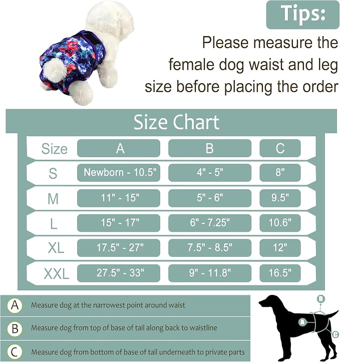 Female Dog Diapers - Premium Reusable Diapers for Doggie in Heat - Highly Absorbent for Pet Incontinence with Adjustable Snaps Rose Flower, L