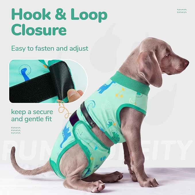 PUMYPOREITY 2-in-1 Detachable Dog Diapers, Escape-Proof Anti-Harassment Wear for Heat, Full Body Dog Onesie for Post-Surgery Recovery, Incontinence, Puppy Training & Senior Pet, L, Green