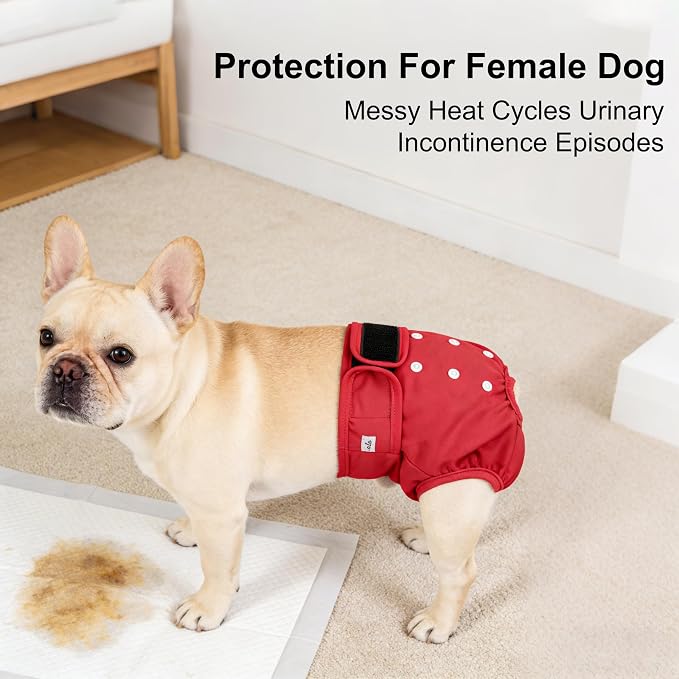 Female Dog Diapers - Reusable Diapers for Doggie in Heat - Highly Absorbent for Pet Incontinence with Adjustable Snaps (Pack of 3) Red Black Purple, L