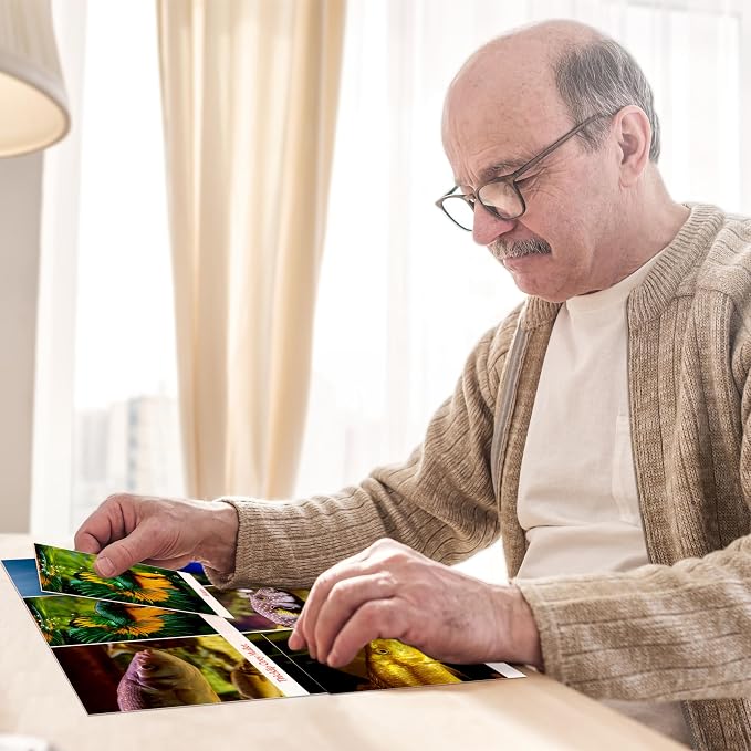 Keeping Busy Match Photo 3 Dementia Activities for Seniors | Alzheimer Products for Elderly Patients | Fun Memory Game Toy & Cognitive Brain Puzzle for Senior Citizens w/Memory Loss or Alzheimers