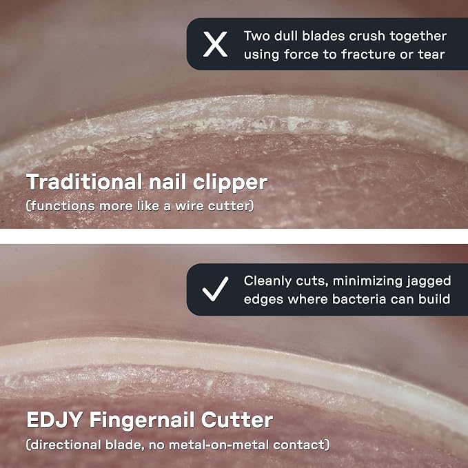 EDJY Fingernail Cutter - Precision Stainless Steel Nail Cutter for Fingernails | Sharp Blade, Ergonomic Design, Durable & Rust-Resistant | Ideal for Men and Women EDJY Blue | 2-Pack