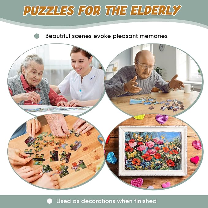 Hiboom 10 Pack 16 Piece Large Jigsaw Dementia Puzzles for Alzheimers Senior Easy Puzzles Dementia Products for Elderly Adults Gifts Memory Cognitive Games Christmas Activities, 9.45 x 12.6 Inch(Novel)