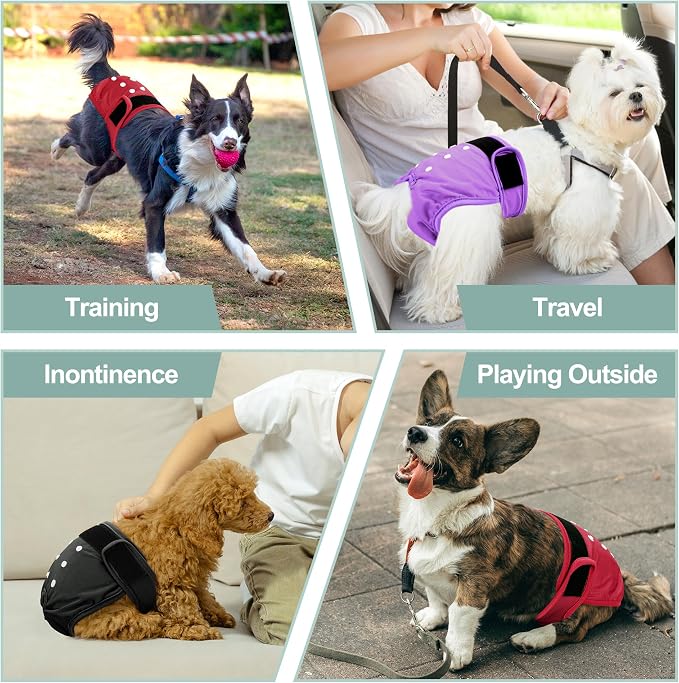 Female Dog Diapers - Reusable Diapers for Doggie in Heat - Highly Absorbent for Pet Incontinence with Adjustable Snaps (Pack of 3) Red Black Purple, S