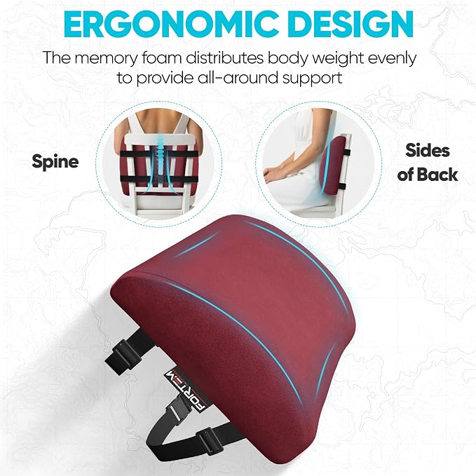 FORTEM Lumbar Support Pillow for Office Chair, Lumbar Support Pillow for Car, Back Rest for Gaming, Memory Foam Pillow, Desk Chair Cushion, Breathable & Washable Cover, Adjustable Straps