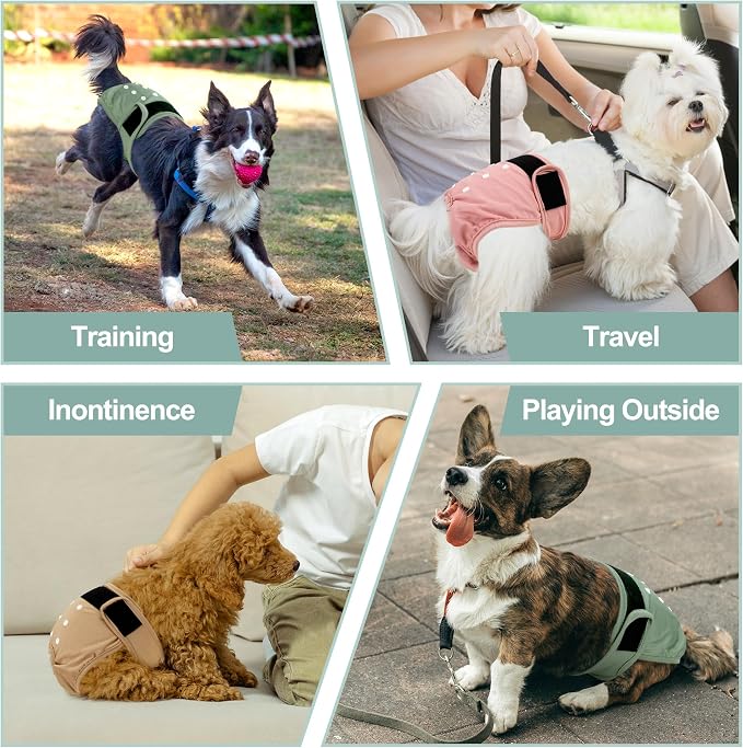 Washable Female Dog Diapers - Premium Reusable Diapers for Doggie in Heat - Highly Absorbent Dog Diapers Female for Pet Incontinence with Adjustable Snaps (Pink, L)