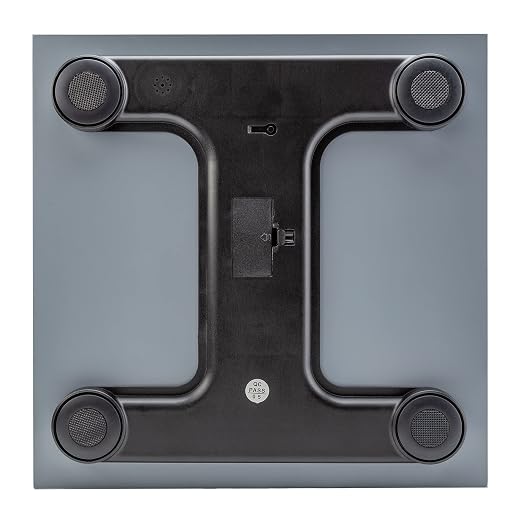 Talking Scales - Clear Loud North American Voice, Big Numbers Stylish Look (Stainless)
