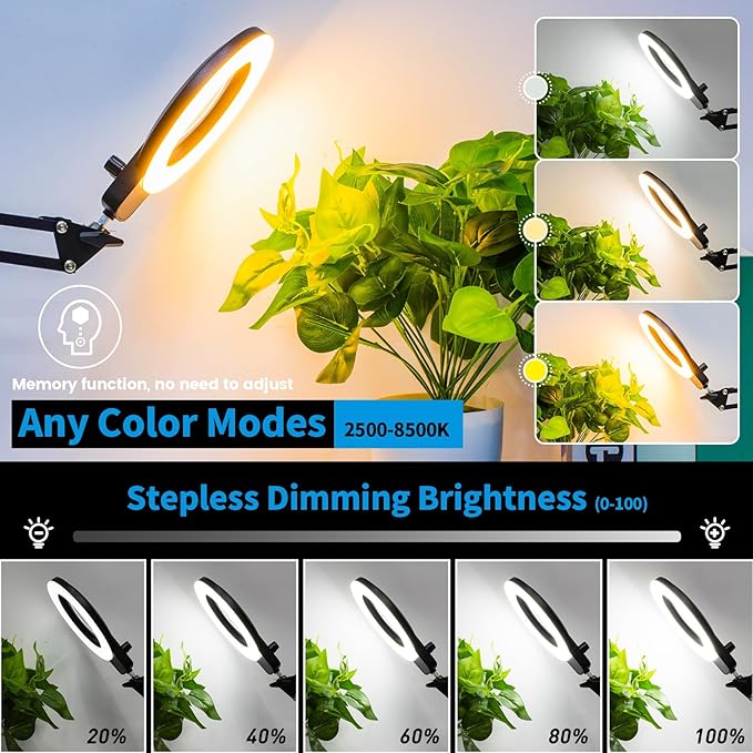 KIRKAS 12X Magnifying Glass with Light and Stand, 2-in-1 Any Color Modes & Stepless Brightness Magnifying Desk Lamp with Clamp, LED Magnifier with Light for Crafts Jewelry Painting Sewing Close Work