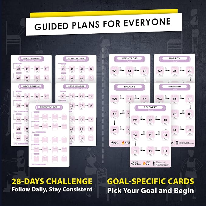 Flexies Chair Yoga Workout Cards – 58 Seated Exercise Cards for Beginners & Seniors | 28 Day Chair Workout Chart for Weight Loss, Strength, Flexibility & Balance