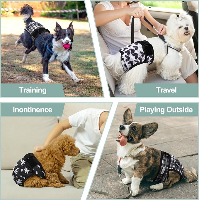 Female Dog Diapers - Premium Reusable Diapers for Doggie in Heat - Highly Absorbent for Pet Incontinence with Adjustable Snaps Black, L