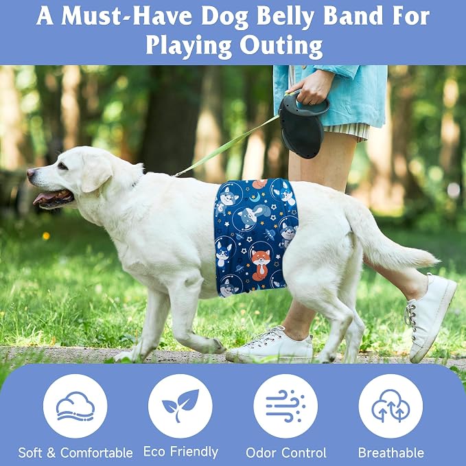 5 Pack Dog Diapers Male Reusable, Premium Belly Bands for Male Dogs, High Absorbing Dog Pee Wraps for Doggie in Incontinence or Training Flower XL