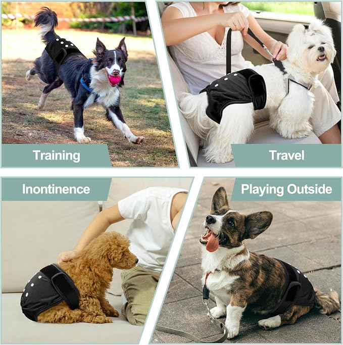 Female Dog Diapers 5Pcs - Premium Reusable Diapers for Doggie in Heat - Highly Absorbent Dog Diapers Female for Pet Incontinence with Adjustable Snaps, Black, XXL