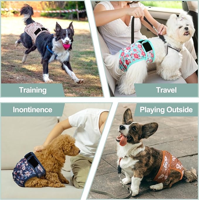 Washable Female Dog Diapers (5 Pack) - Doggie Reusable Small Medium Large Dog Diapers for Doggy Puppy Female in Period - Highly Absorbent Dog Heat Panties,S Plus,Breenish Lily Flower