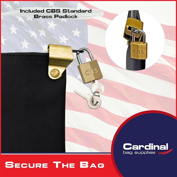 Medication Security Bag with Padlock, Black | Zipper Hood, 2 keys, Small Pill Bag, Travel Carry Pouch, Medicine Storage
