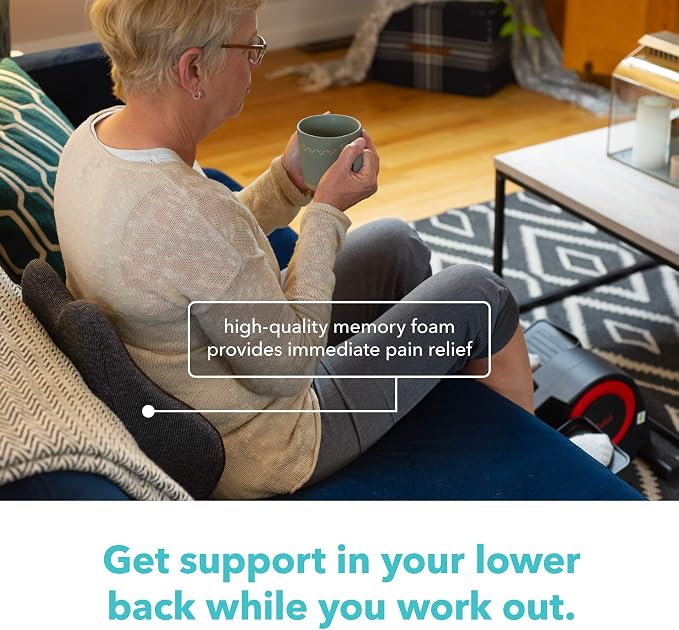 Cubii Cushii V2 Back Support Cushion for Back and Lower Back Pain Relief Universal Fit for Desk, Office, Kitchen Chairs, Couch Cushions with Advanced Lumbar Support