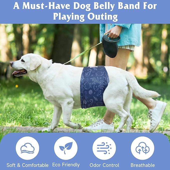 5 Pack Dog Diapers Male Reusable, Premium Belly Bands for Male Dogs, High Absorbing Dog Pee Wraps for Doggie in Incontinence or Excitable Urination and Training Hawaii S