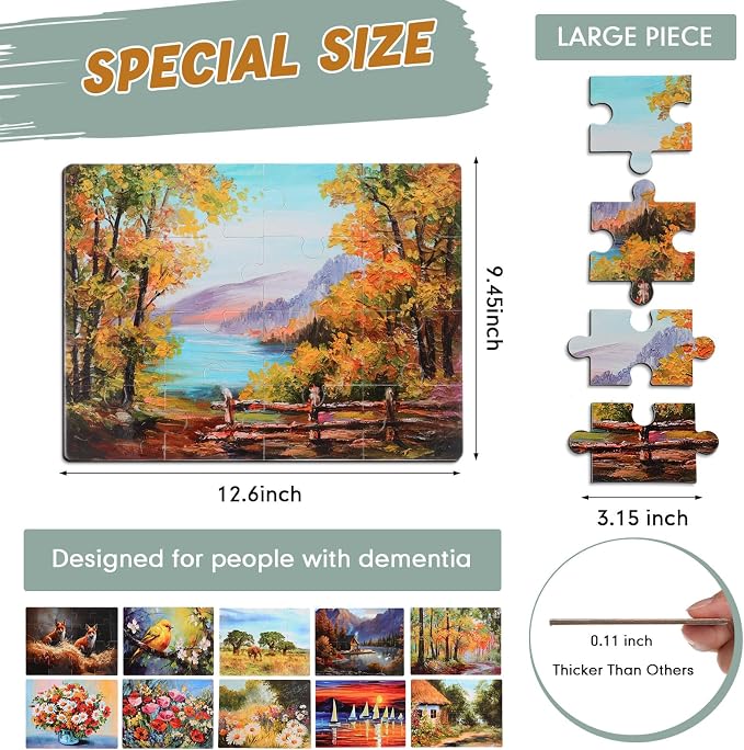 Hiboom 10 Pack 16 Piece Large Jigsaw Dementia Puzzles for Alzheimers Senior Easy Puzzles Dementia Products for Elderly Adults Gifts Memory Cognitive Games Christmas Activities, 9.45 x 12.6 Inch(Novel)