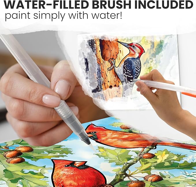 QUOKKA Water Painting Dementia Activities for Seniors – Alzheimer’s Products for Elderly – Reusable Water Doodle Set Songbird Serenity – Activity Kits for Dementia Patients – Crafts for Seniors