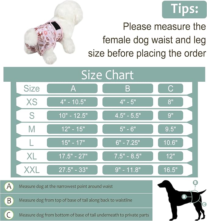 Female Dog Diapers 5Pcs - Premium Reusable Diapers for Doggie in Heat - Highly Absorbent Dog Diapers Female for Pet Incontinence with Adjustable Snaps, Breenish Lily Flower, XXL