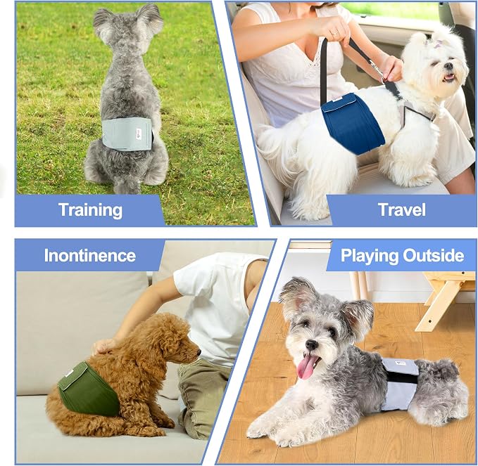 5 Pack Dog Diapers Male Reusable, Premium Belly Bands for Male Dogs, High Absorbing Dog Pee Wraps for Doggie in Incontinence or Excitable Urination and Training Green L
