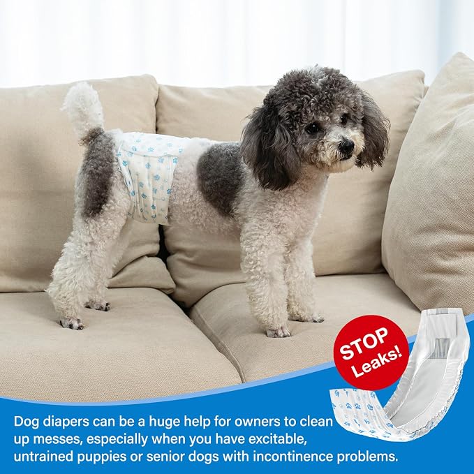 Pet Soft Disposable Male Wrap Dog Diaper,12Pcs,XS