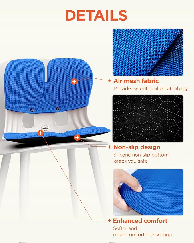 curble Grand Cover, Detachable Cover for Adult Chair, Ergonomic Chair Back Support and Lumbar Support (Blue)