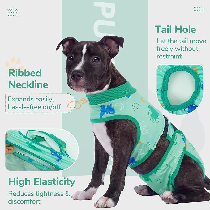 PUMYPOREITY 2-in-1 Detachable Dog Diapers, Escape-Proof Anti-Harassment Wear for Heat, Full Body Dog Onesie for Post-Surgery Recovery, Incontinence, Puppy Training & Senior Pet, L, Green