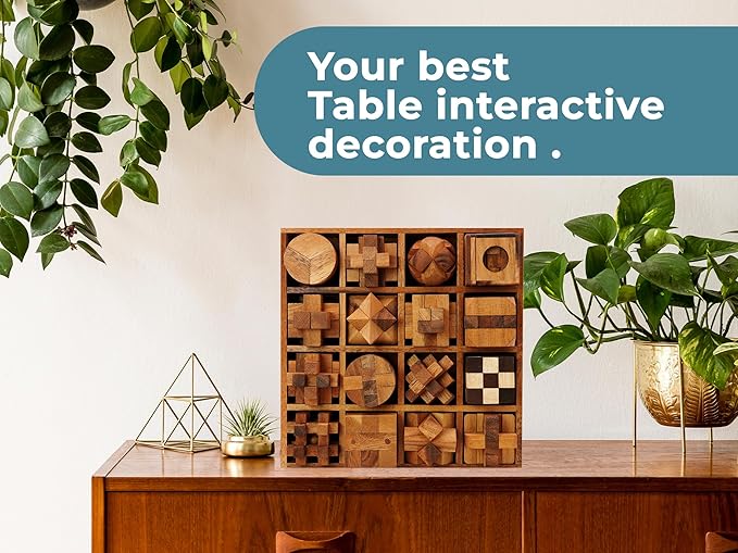 BSIRI 16 in 1 Wooden Brain Teaser Puzzles for Adults and Seniors Interlocking 3D Mini Wood Mind Games Hand Puzzle Teasers Set Toys Coffee Table Games Gift
