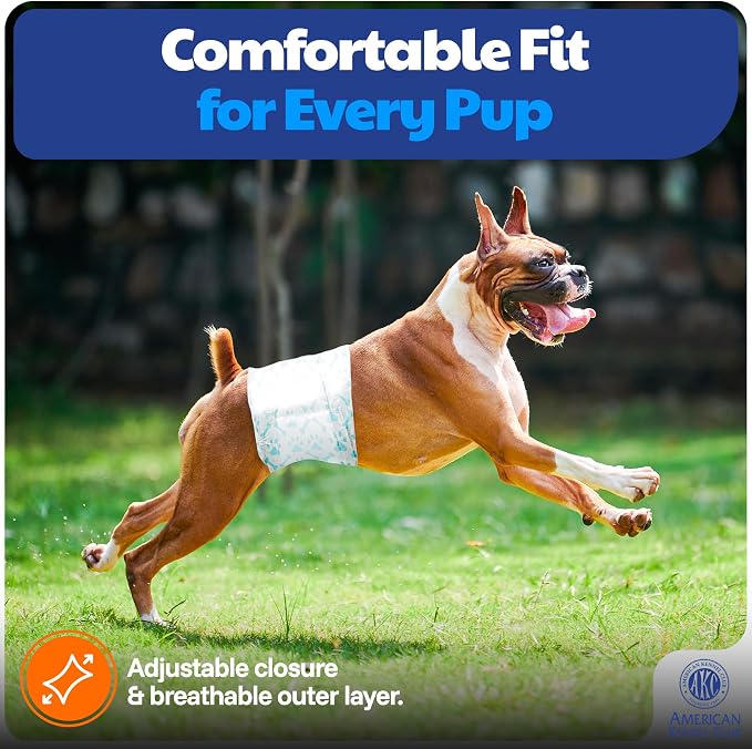 American Kennel Club Male Dog Wrap, Disposable Diapers with Wetness Indicator, X-Small, 50 Count