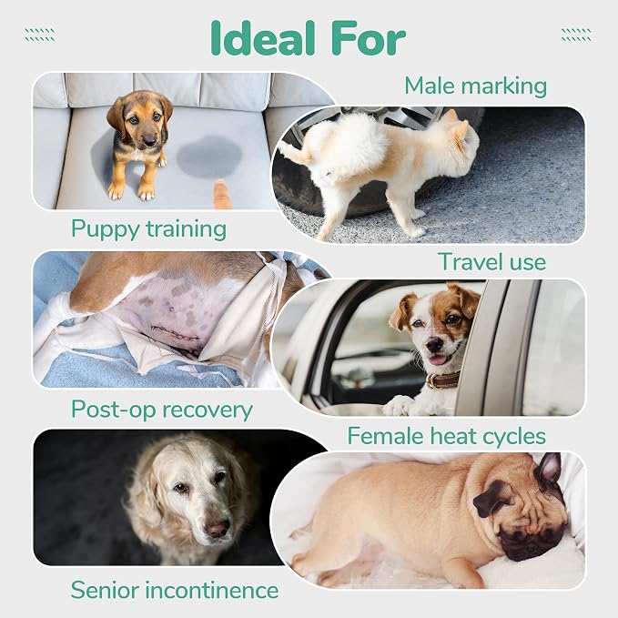 PUMYPOREITY 2-in-1 Detachable Dog Diapers, Escape-Proof Anti-Harassment Wear for Heat, Full Body Dog Onesie for Post-Surgery Recovery, Incontinence, Puppy Training & Senior Pet, XL, Green