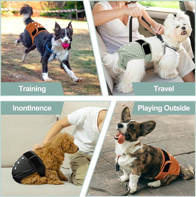 Female Dog Diapers - Premium Reusable Diapers for Doggie in Heat - Highly Absorbent Dog Diapers Female for Pet Incontinence with Adjustable Snaps Brown Black, S