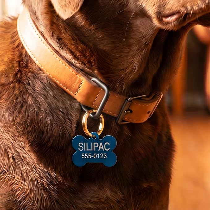 Heavy Duty Dog Tag & Key Rings 30mm 10 Pack – Nickel-Plated Iron Split Rings for Pet ID, Keys, Crafts & Lanyards