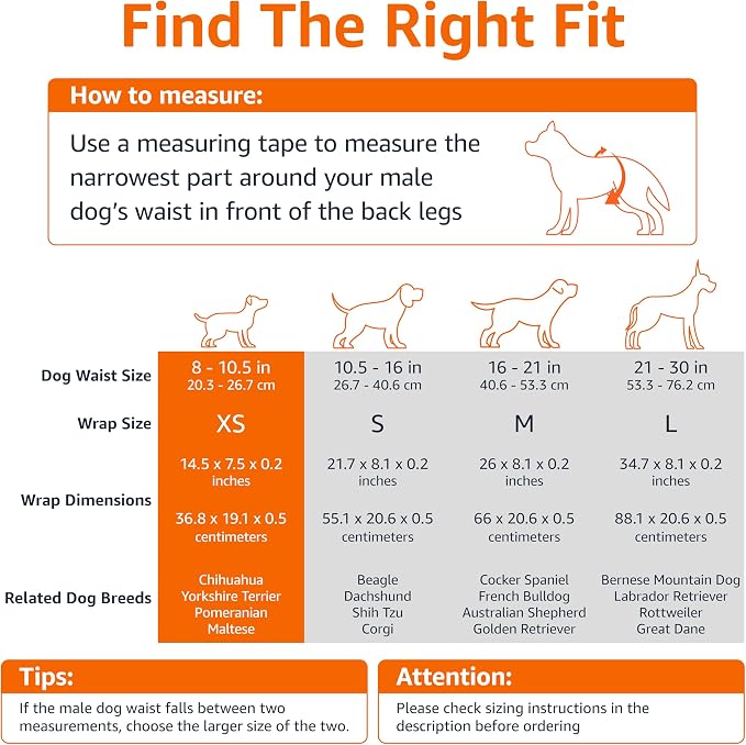 Amazon Basics Super Absorbent Male Dog Diapers, Leak-Proof Disposable Wrap with Wetness Indicator, Secure Fit, Breathable, X-Small, 30 Count