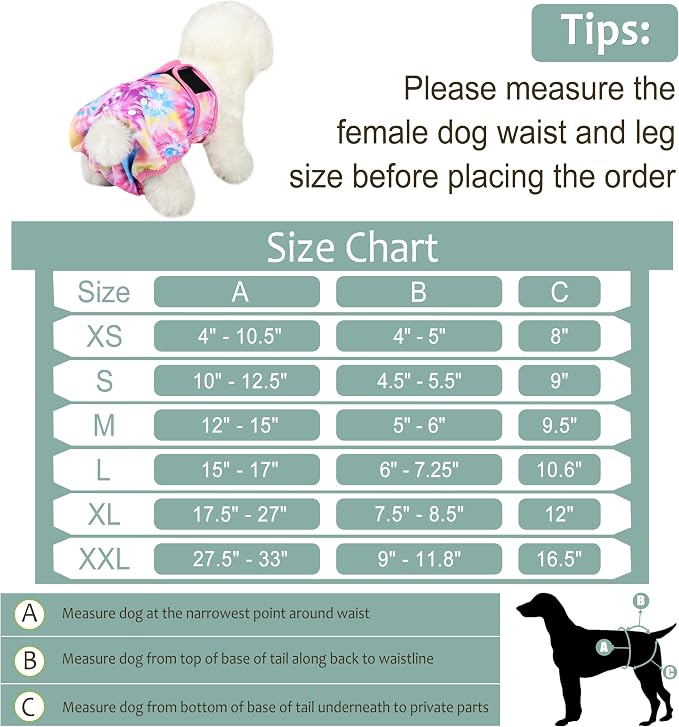 Female Dog Diapers 5Pcs - Premium Reusable Diapers for Doggie in Heat - Highly Absorbent Dog Diapers Female for Pet Incontinence with Adjustable Snaps,Rainbow,S