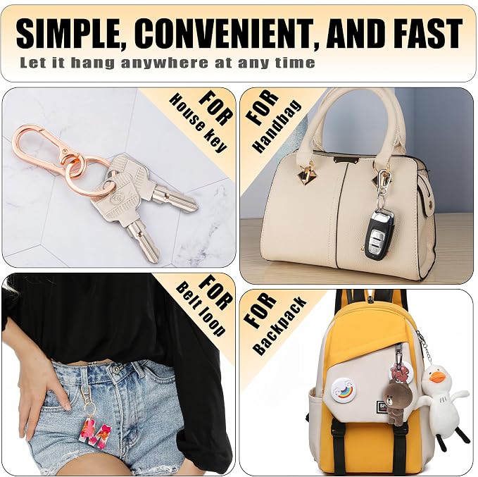 Wikavanli Metal Keychains Keyring Key Chain Ring Clip Holder Organizer for Home Car Keys Key Finder Women Men