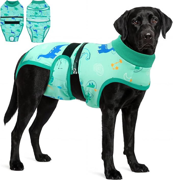 PUMYPOREITY Washable Dog Diapers, Escape-Proof Anti-Harassment Wear for Heat, Reusable Period Diaper, Full Body Dog Onesie for Post-Surgery Recovery, Incontinence, Puppy Training, XS, Blue