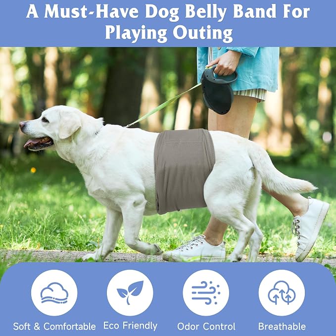 5 Pack Dog Diapers Male Reusable, Premium Belly Bands for Dogs, High Absorbing Male Dog Pee Wraps for Doggie in Incontinence or Excitable Urination Green XS