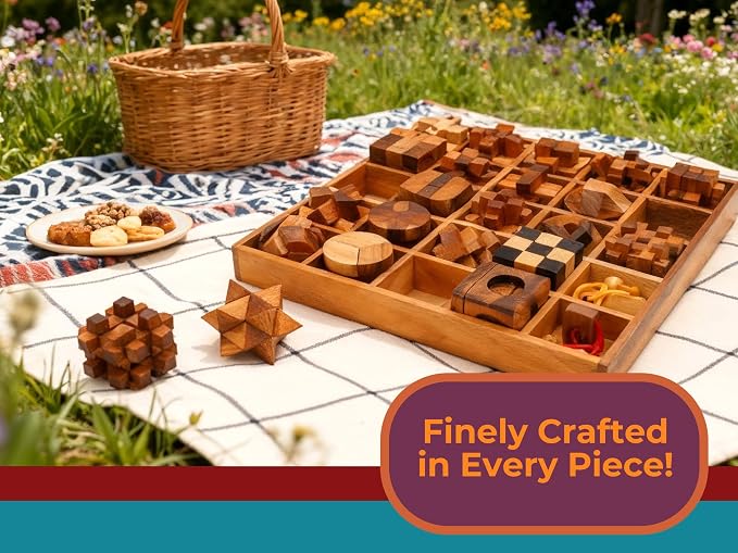 BSIRI 25 in 1 Wooden Brain Teaser Puzzles for Adults and Teens Interlocking 3D Mini Wood Mind Games Hand and Mind Puzzle Teasers Assembly & Disentanglement Set Toys Coffee Table Games Gift
