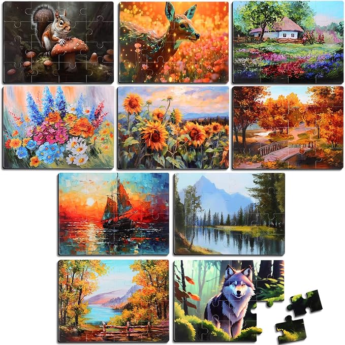 Hiboom 10 Pack 16 Piece Large Jigsaw Dementia Puzzles for Alzheimers Senior Easy Puzzles Dementia Products for Elderly Adults Gifts Memory Cognitive Games Christmas Activities, 9.45 x 12.6 Inch(Novel)