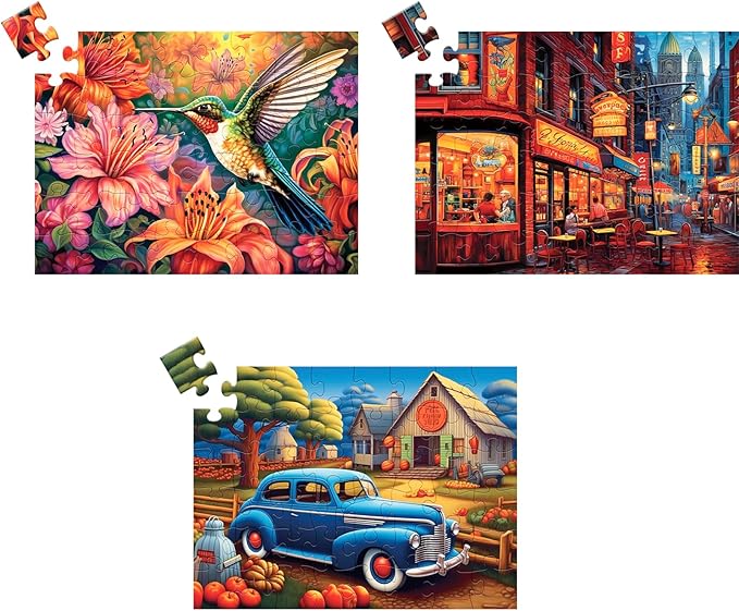 3 Pack 48 Large Piece Puzzle for Seniors Puzzles Dementia Alzheimer's Products and Activities for Elderly Large Piece Puzzles Alzheimer's Easy Puzzles Gift Memory Games for Patients, 3 Storage Bag